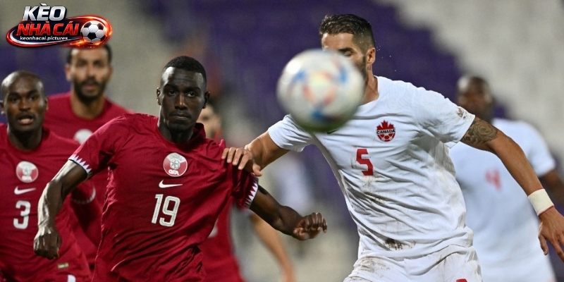 Lịch sử so tài Canada vs Qatar Lịch sử so tài Canada vs Qatar