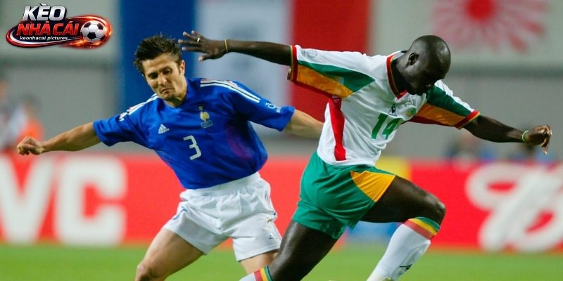 Lịch sử so tài Pháp vs Senegal Lịch sử so tài Pháp vs Senegal