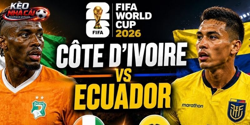 Soi kèo Bờ Biển Ngà vs Ecuador phản ánh sự cân bằng Soi kèo Bờ Biển Ngà vs Ecuador phản ánh sự cân bằng